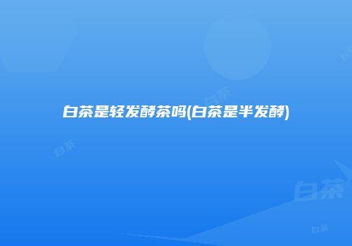 白茶是轻发酵茶吗(白茶是半发酵)