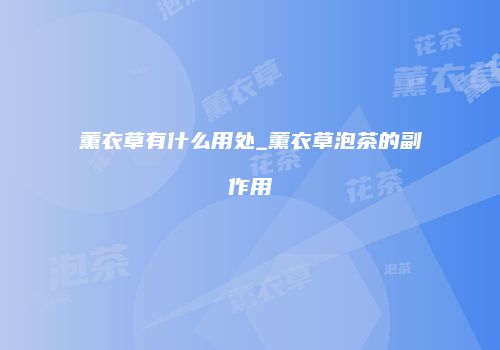 薰衣草有什么用处_薰衣草泡茶的副作用