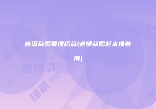 普洱茶喝着像稻草(老绿茶喝起来像普洱)