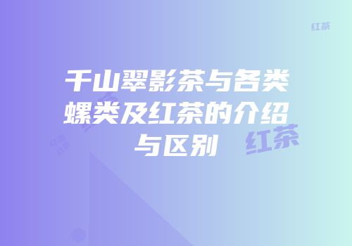 千山翠影茶与各类螺类及红茶的介绍与区别