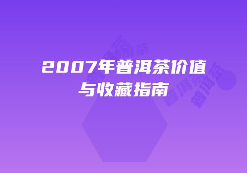 2007年普洱茶价值与收藏指南