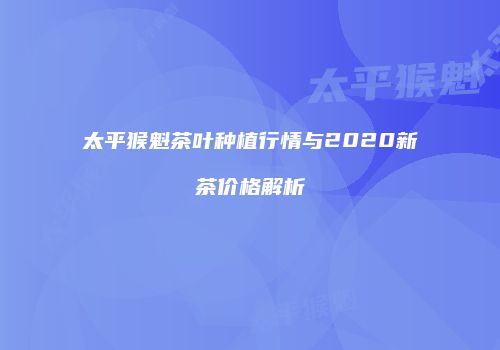 太平猴魁茶叶种植行情与2020新茶价格解析