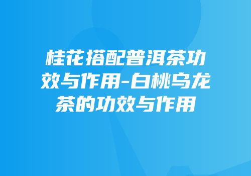 桂花搭配普洱茶功效与作用-白桃乌龙茶的功效与作用