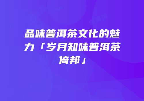 品味普洱茶文化的魅力「岁月知味普洱茶倚邦」