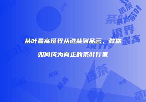 茶叶最高境界从选茶到品茗，教你如何成为真正的茶叶行家