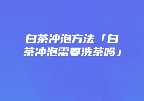 白茶冲泡方法「白茶冲泡需要洗茶吗」