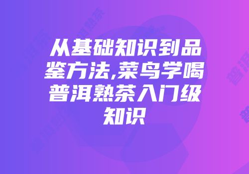 从基础知识到品鉴方法,菜鸟学喝普洱熟茶入门级知识