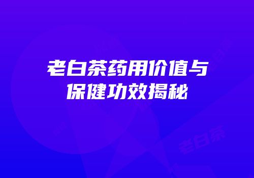 老白茶药用价值与保健功效揭秘