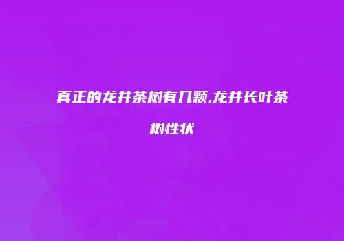 真正的龙井茶树有几颗,龙井长叶茶树性状