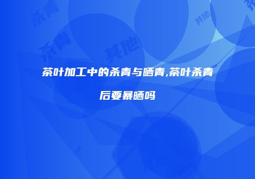 茶叶加工中的杀青与晒青,茶叶杀青后要暴晒吗