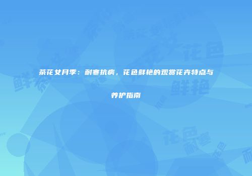 茶花女月季：耐寒抗病，花色鲜艳的观赏花卉特点与养护指南