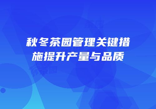 秋冬茶园管理关键措施提升产量与品质