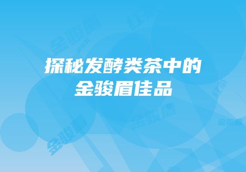 探秘发酵类茶中的金骏眉佳品