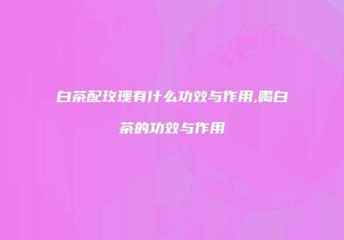 白茶配玫瑰有什么功效与作用,喝白茶的功效与作用