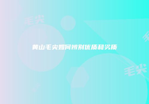 黄山毛尖如何辨别优质和劣质