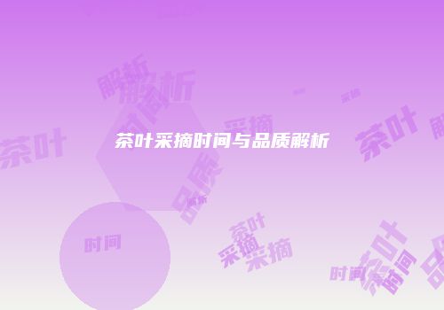 茶叶采摘时间与品质解析