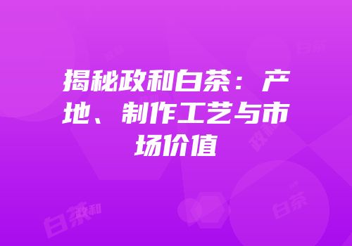 揭秘政和白茶：产地、制作工艺与市场价值