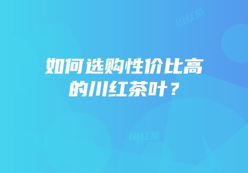 如何选购性价比高的川红茶叶？