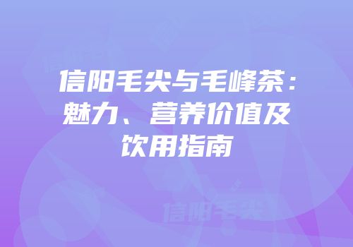 信阳毛尖与毛峰茶：魅力、营养价值及饮用指南