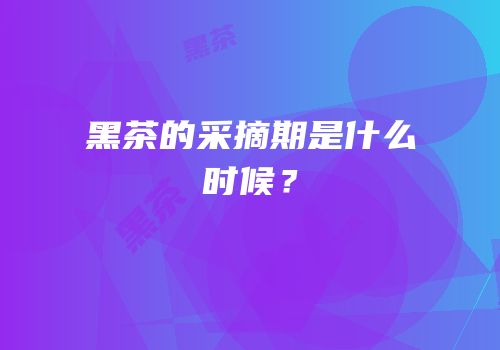 黑茶的采摘期是什么时候？