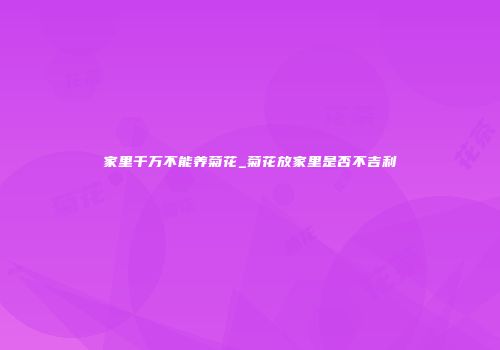 家里千万不能养菊花_菊花放家里是否不吉利
