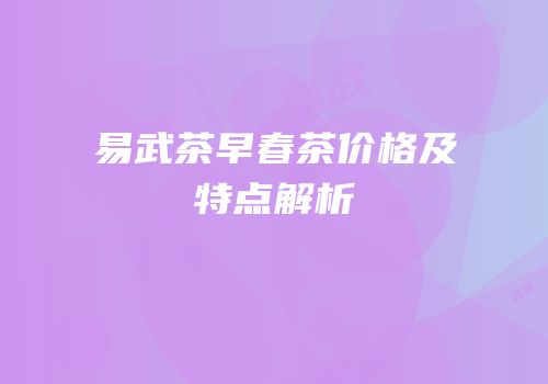 易武茶早春茶价格及特点解析