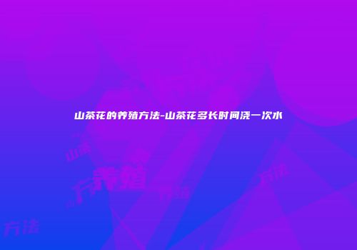 山茶花的养殖方法-山茶花多长时间浇一次水