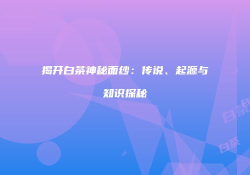 揭开白茶神秘面纱：传说、起源与知识探秘