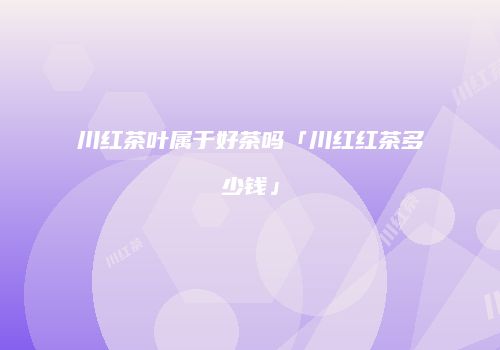 川红茶叶属于好茶吗「川红红茶多少钱」