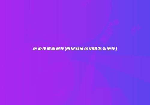 茯茶小镇直通车(西安到茯茶小镇怎么坐车)