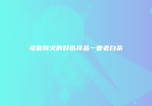 初夏降火的好选择品一壶老白茶