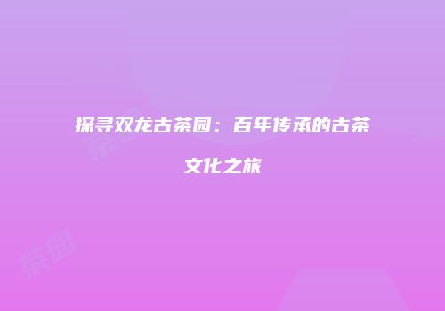 探寻双龙古茶园：百年传承的古茶文化之旅