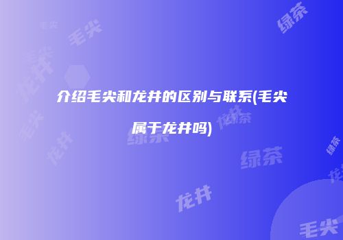 介绍毛尖和龙井的区别与联系(毛尖属于龙井吗)
