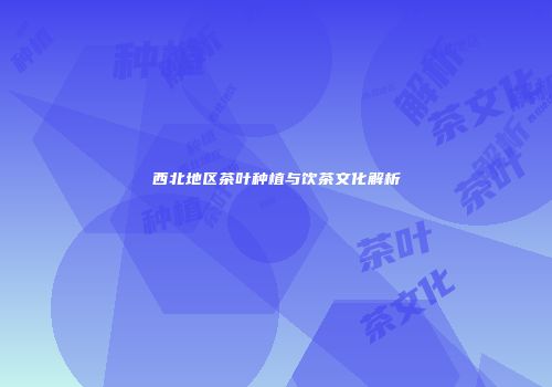 西北地区茶叶种植与饮茶文化解析