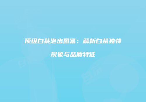 顶级白茶泡出图鉴：解析白茶独特现象与品质特征