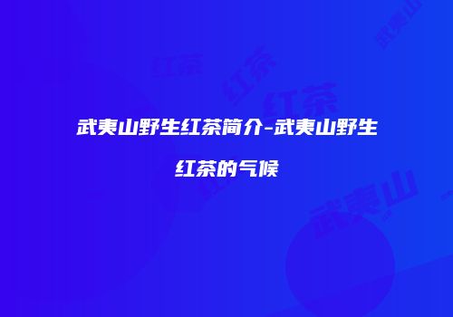武夷山野生红茶简介-武夷山野生红茶的气候