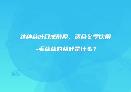这种茶叶口感醇厚，适合冬季饮用-毛茸茸的茶叶是什么？
