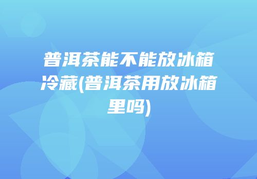 普洱茶能不能放冰箱冷藏(普洱茶用放冰箱里吗)