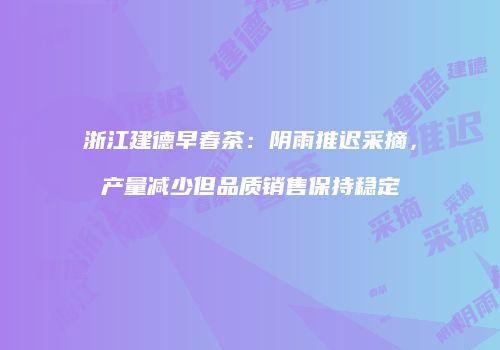 浙江建德早春茶：阴雨推迟采摘，产量减少但品质销售保持稳定