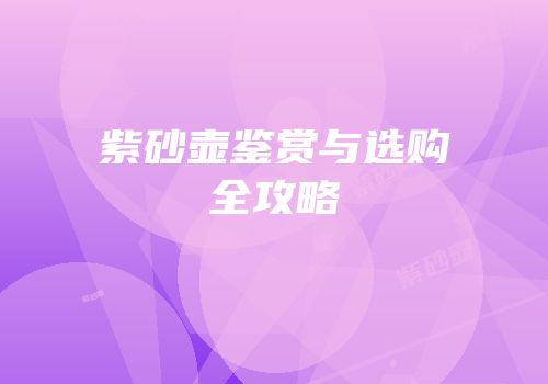 紫砂壶鉴赏与选购全攻略