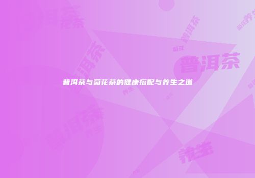 普洱茶与菊花茶的健康搭配与养生之道