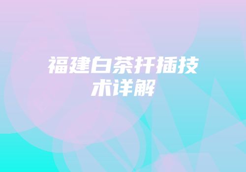 福建白茶扦插技术详解