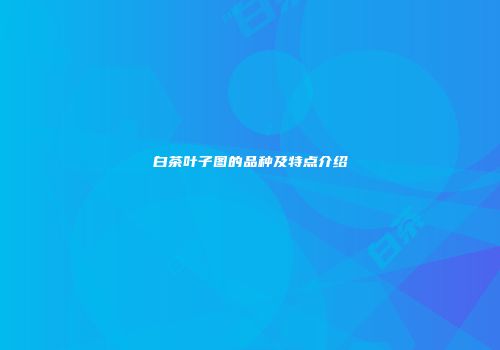 白茶叶子图的品种及特点介绍