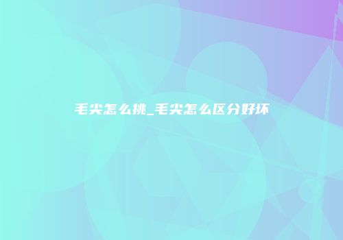 毛尖怎么挑_毛尖怎么区分好坏
