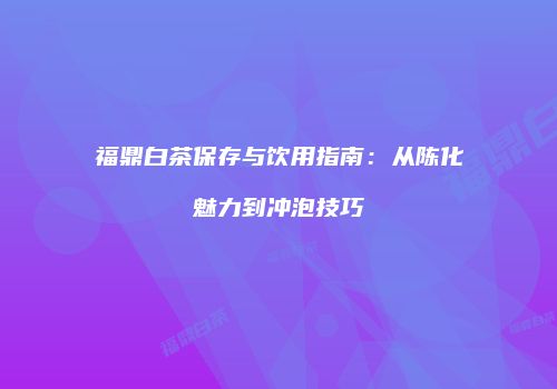 福鼎白茶保存与饮用指南：从陈化魅力到冲泡技巧