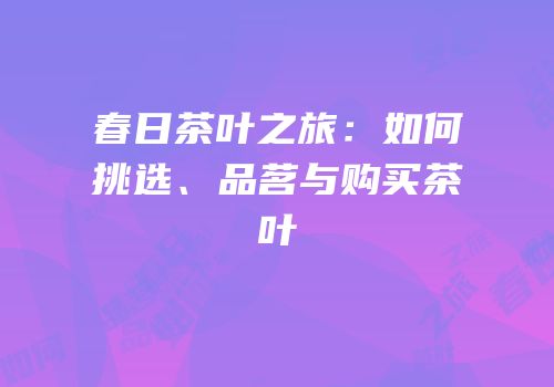 春日茶叶之旅：如何挑选、品茗与购买茶叶