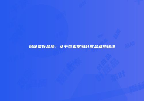 揭秘茶叶品质：从干茶观察到叶底品鉴的秘诀