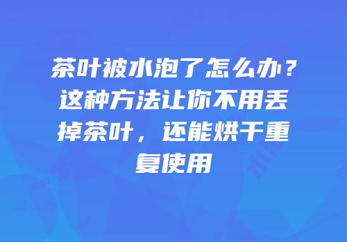 茶叶被水泡了怎么办？这种方法让你不用丢掉茶叶，还能烘干重复使用