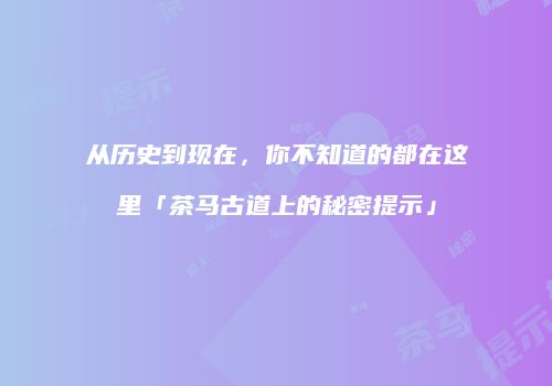 从历史到现在，你不知道的都在这里「茶马古道上的秘密提示」