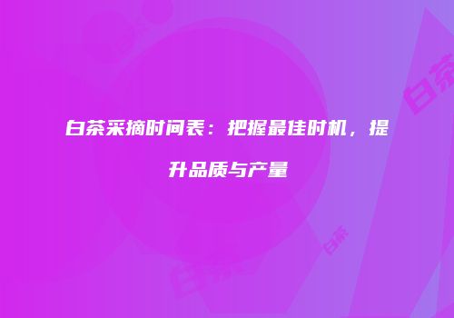 白茶采摘时间表：把握最佳时机，提升品质与产量